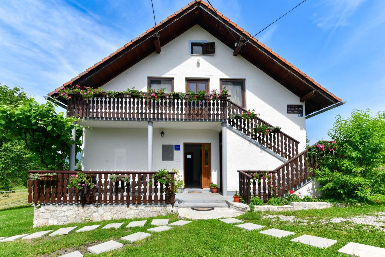 Apartman Plum Plitvice Drežnik Grad Kültér fotó